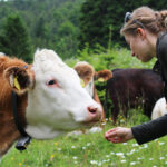 lisa-lotter-munichmountaingirls-flottelieselotte-berge-kuh