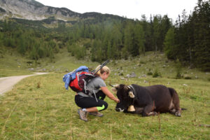 munichmountaingirls-evemuc-eva-schuler-wandern-wandertour-seebergspitze