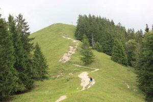 trailrunning-baumgartenschneid-marlen-franke-munichmountaingirls-muenchen-trail-kitchen