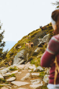 munichmountaingirls-simone-schwankl-bergblog-wandern-tour-spronsersee