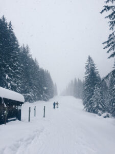 munichmountaingirls-bellaontour-isabella-lang-wandern-skitour-taubenstein