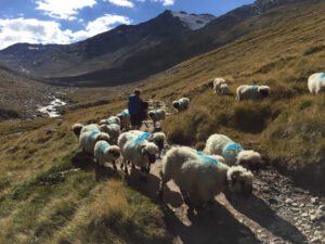 munichmountaingirls-dana-fischer-wandern-bergbild-similaunhuette